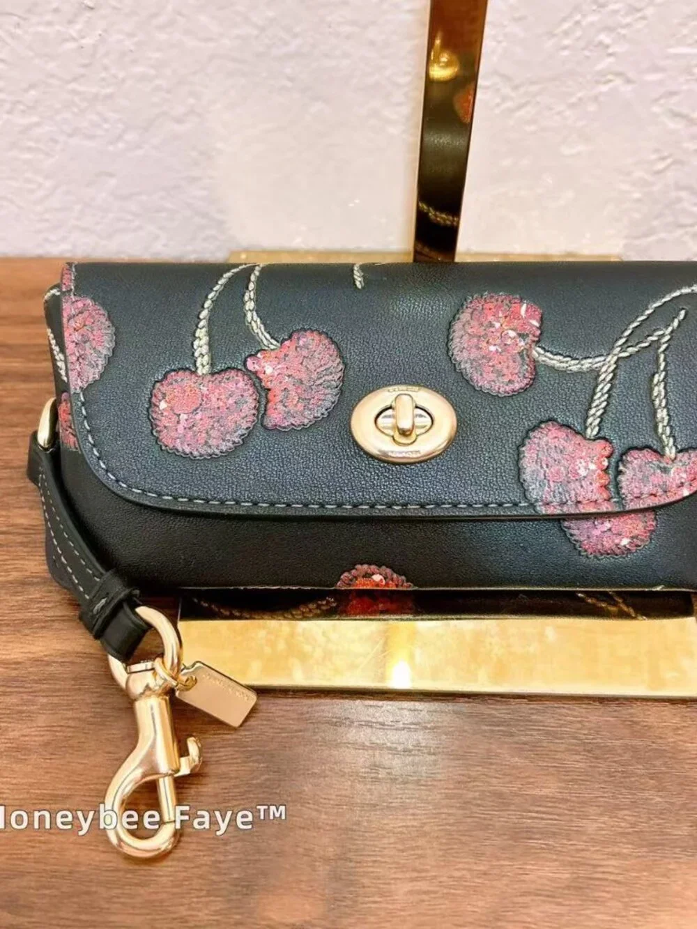 Coach nwt sunglass